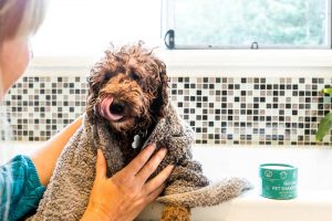 Hemp dog shampoo