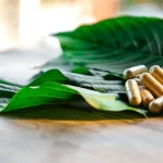 How to Choose the Best Kratom Strain?