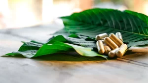 How to Choose the Best Kratom Strain?